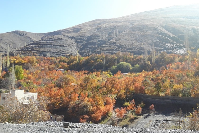 روستای زشک. منبع عکس: گوگل مپ. عکاس: نگارستوده