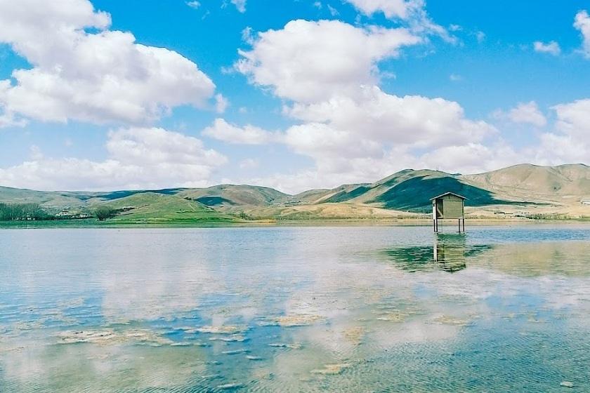 تالاب قوری گل تبریز. منبع عکس: گوگل‌مپ. عکاس: حنا عابدینی