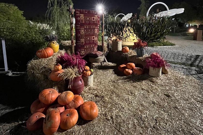 باغ گلهای مشهد. منبع عکس گوگل مپ. عکاس  Amir Hdr