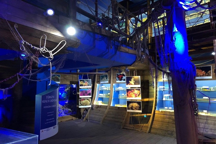 موزه بیولوژی دنیز 