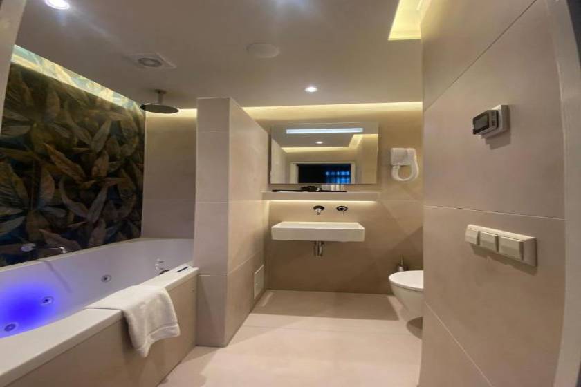 Alp Hotel - Twin Room with Spa Bath, Balcony and Garden View