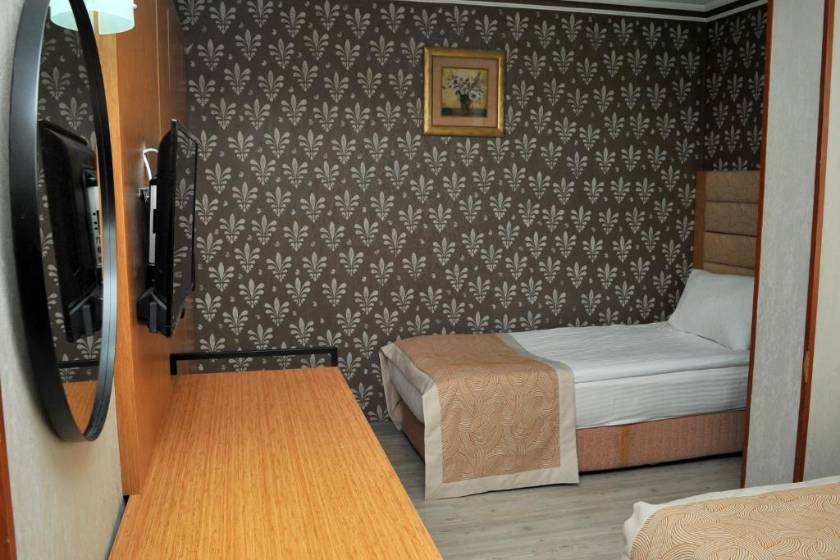Lion City Hotel Ankara - Standard Twin Room