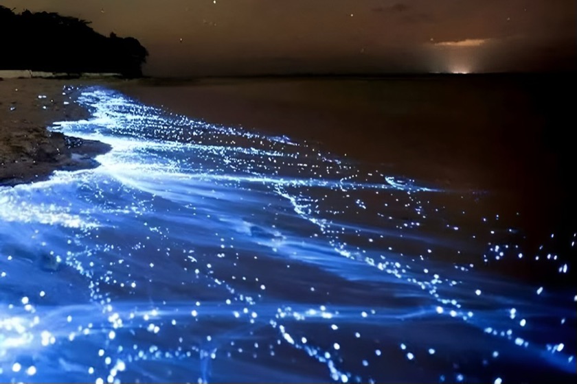 ساحل نقره ای قشم. منبع عکس: گوگل مپ. عکاس: احمدرضا علیزاده