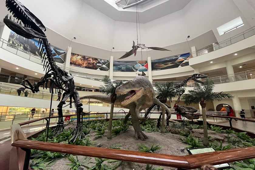 موزه تاریخ طبیعی آنکارا . منبع عکس: گوگل مپ. عکاس: Ali Yildiz