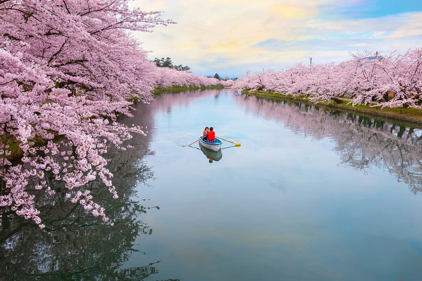 پارک هیروساکی ژاپن. منبع: Shutterstock، عکاس: نامشخص