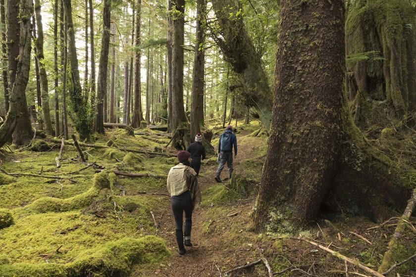جزیره هایدا گوای کانادا (Haida Gwaii, Canada)