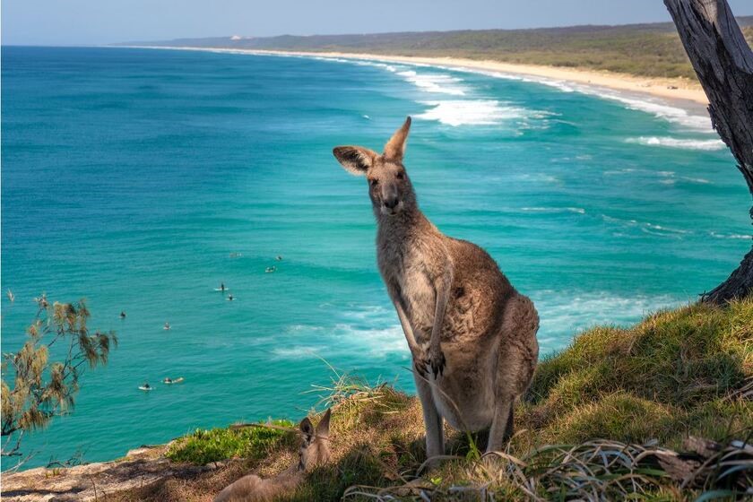 جزیره کانگورو استرالیا (Kangaroo Island, Australia)
