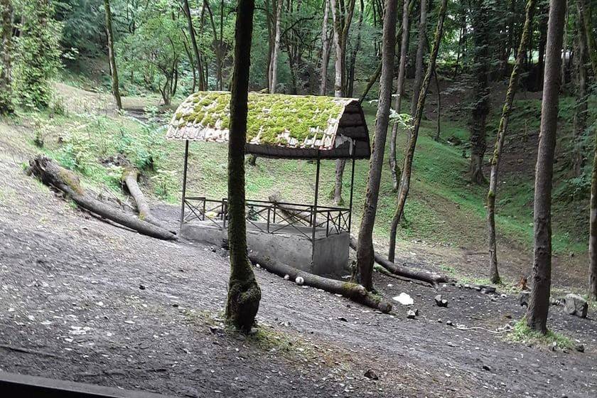 بهترین پارک های جنگلی ایران