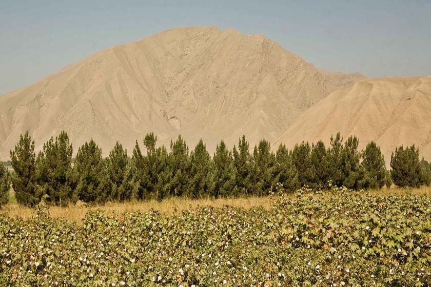 طبیعت افغانستان. منبع عکس: Afd.Fr، عکاس: نامشخص