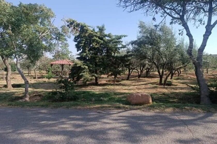 پارک جنگلی ارم تبریز