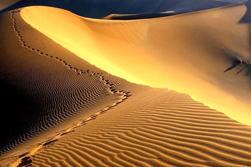 تپه های شنی در کویر