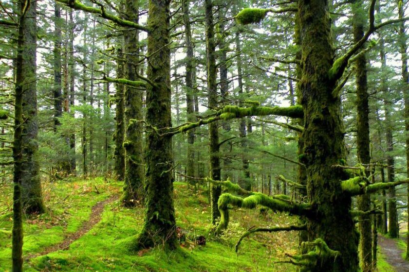 طبیعت بین راهی جاده سراوان به فومن. منبع عکس: وب‌سایت Travital.com. عکاس: نامشخص