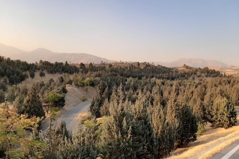 پارک جنگلی شیان لویزان