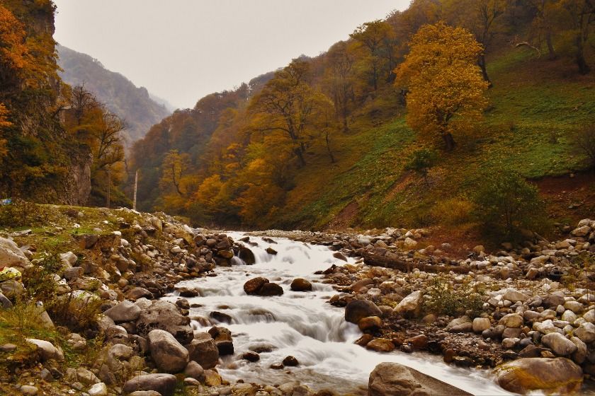 جنگل توسکستان گرگان