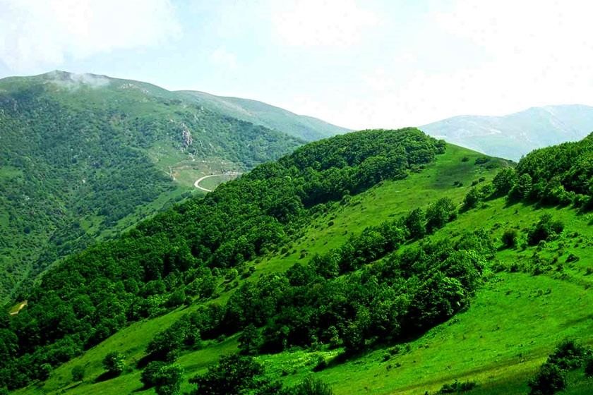 جنگل های ارسباران تبریز