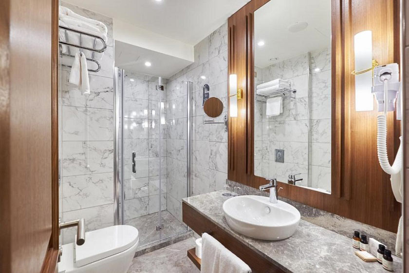 Aspera Hotel Golden Horn Istanbul - Deluxe Single Room