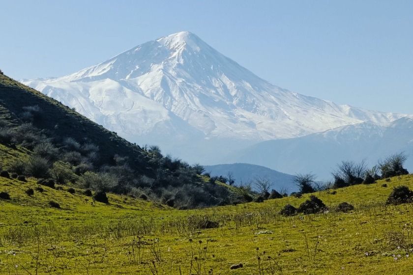 جنگل الیمستان آمل
