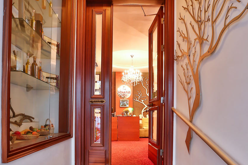Senatus Hotel - Special Class Istanbul 