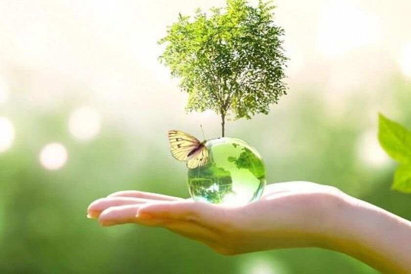 روز آموزش همگانی حفظ محیط‌زیست