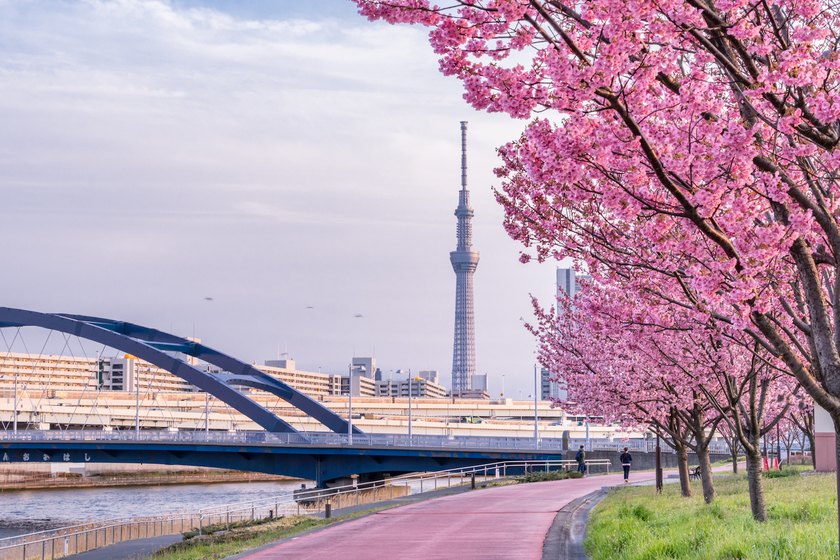 برج توکیو. منبع عکس: وب‌سایت Savvytokyo.Com. عکاس: نامشخص
