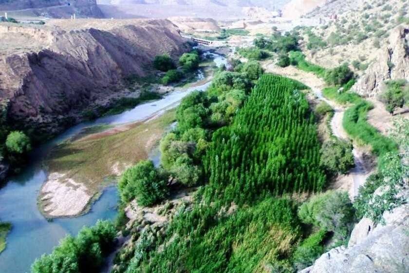 تنگ بلاغی