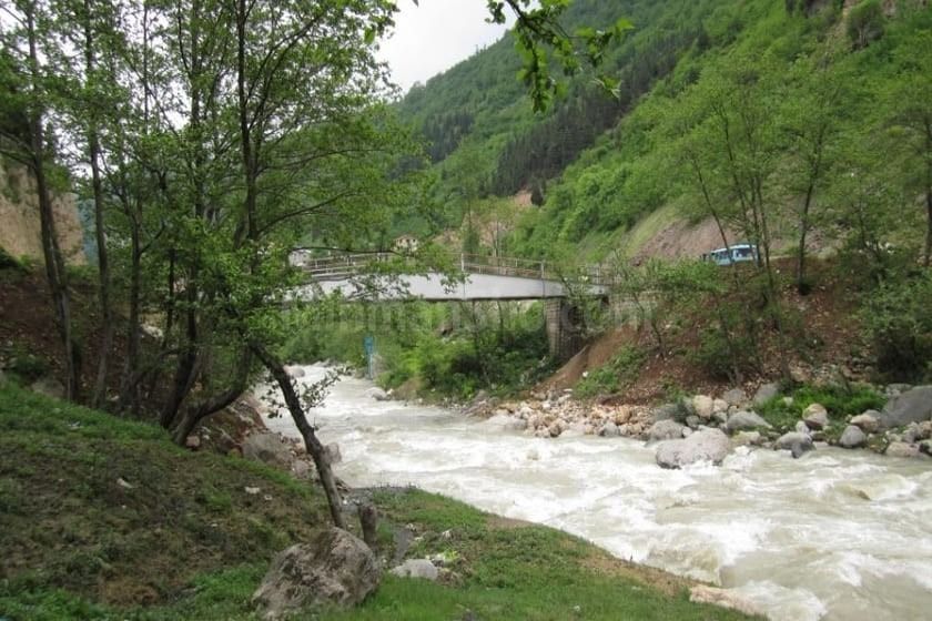 پارک جنگلی سفید آب رودسر