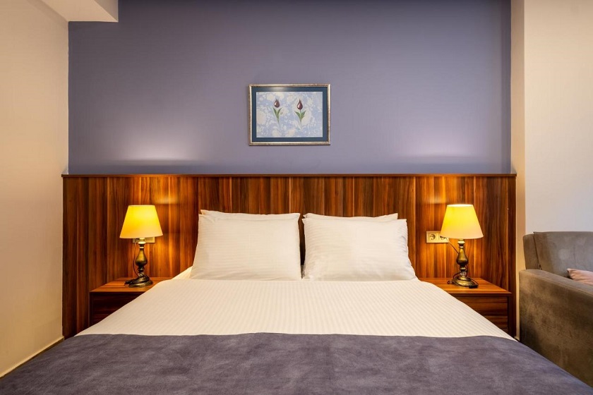 La Wisteria Boutique Hotel Istanbul - Standard Double Room