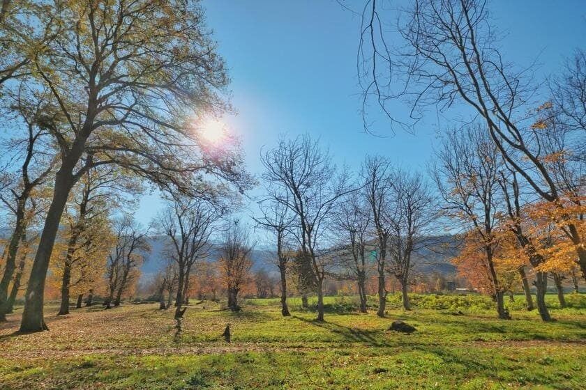 پارک جنگلی قرق گرگان