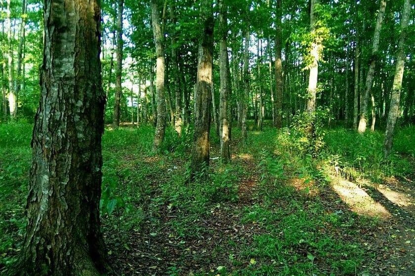 روزشمار؛ ۱۷ اسفند ماه ۱۴۰۳