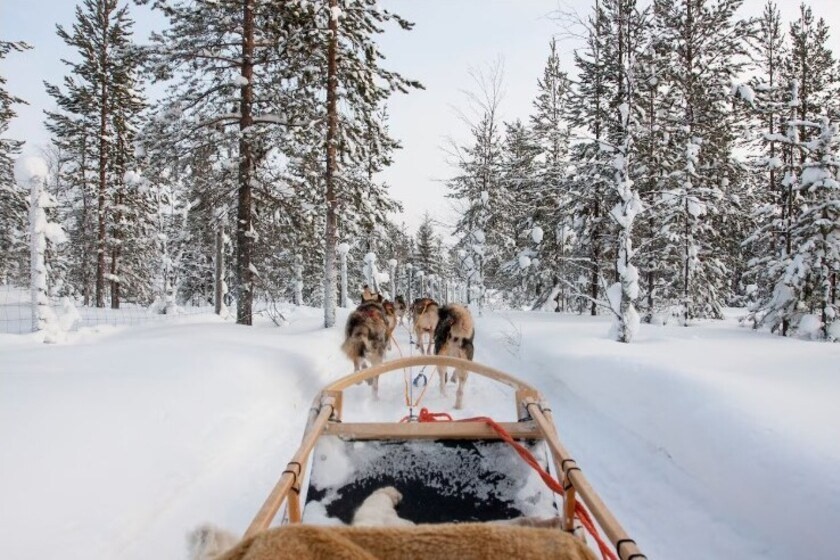 بهترین مکان‌های جهان برای تماشای برف