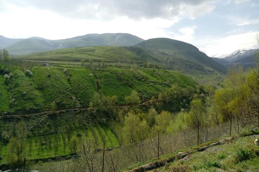 پارک جنگلی خیاوچای مشگین‌شهر