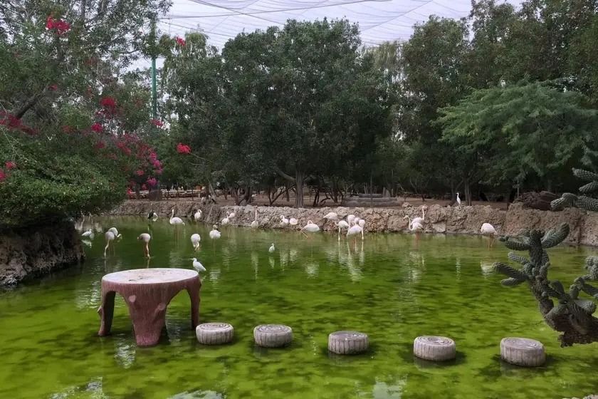 باغ پرندگان