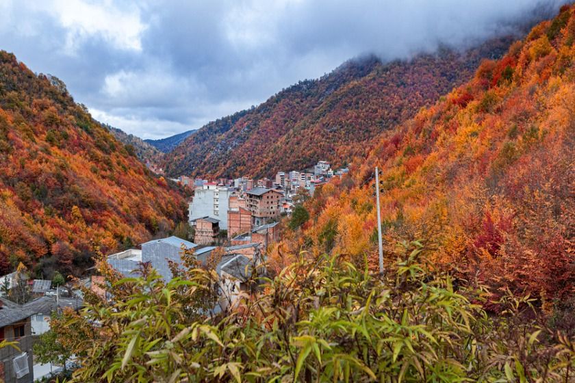 بهترین جنگل های شمالی ایران
