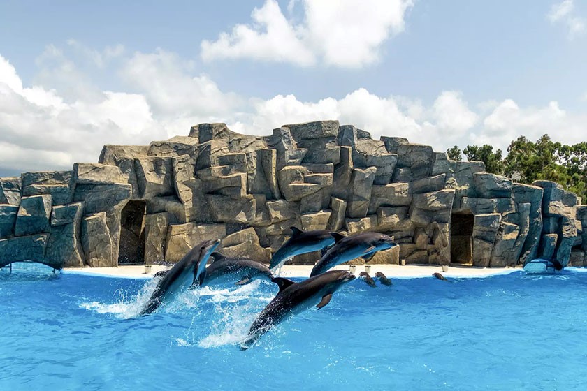 دلفیناریوم (Dolphinarium)
