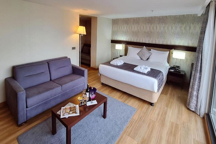 Port Bosphorus Hotel Istanbul - Deluxe Room with Terrace