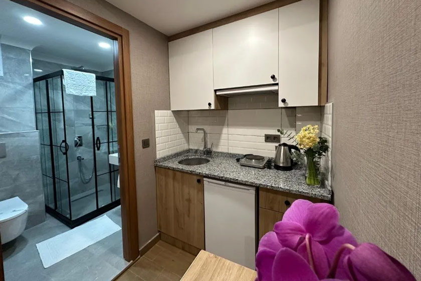 H&L Suites Istanbul - Apartment with Balcony