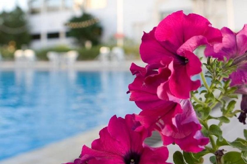 Hotel Muscat Holiday Muscat - Pool