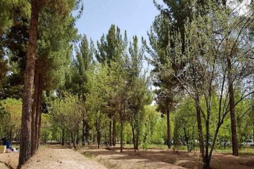 پارک جنگلی باهنر کرمان