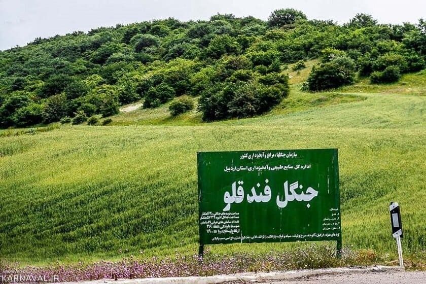 پارک جنگلی فندقلو