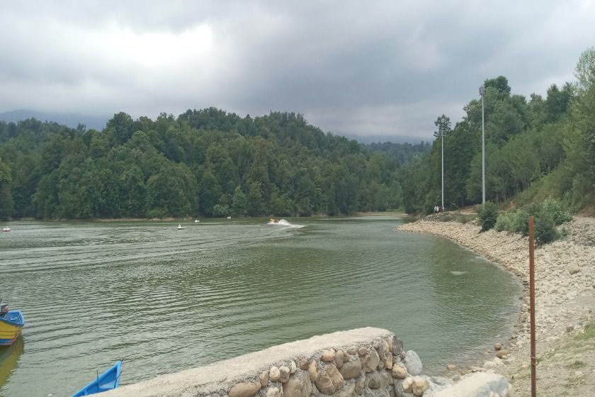 جنگل سیسنگان نوشهر