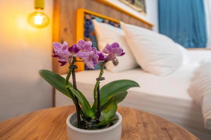 The Gate Kadikoy Downtown Istanbul - Standard Double or Twin Room