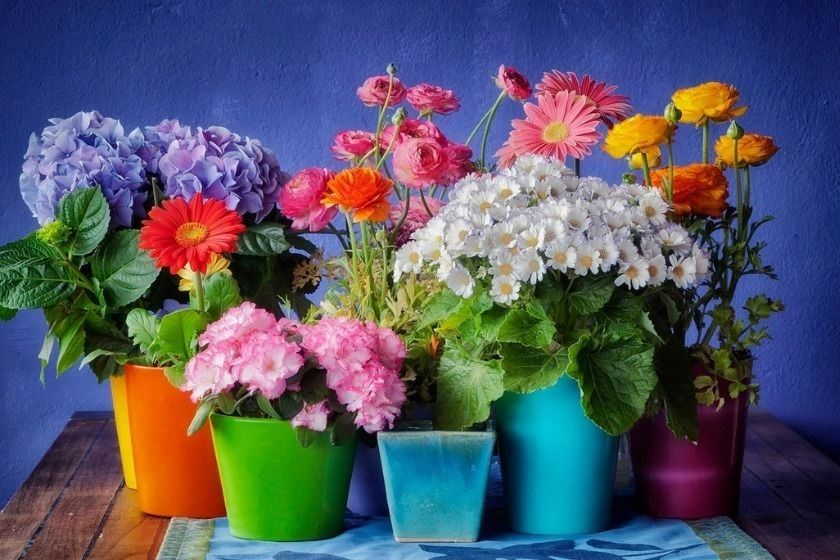 روزشمار؛ ۲۰ اسفند ماه ۱۴۰۳