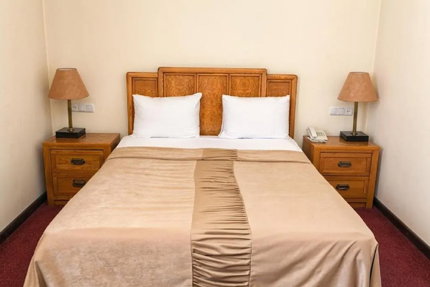 Regineh Hotel Yerevan - Deluxe Double Room