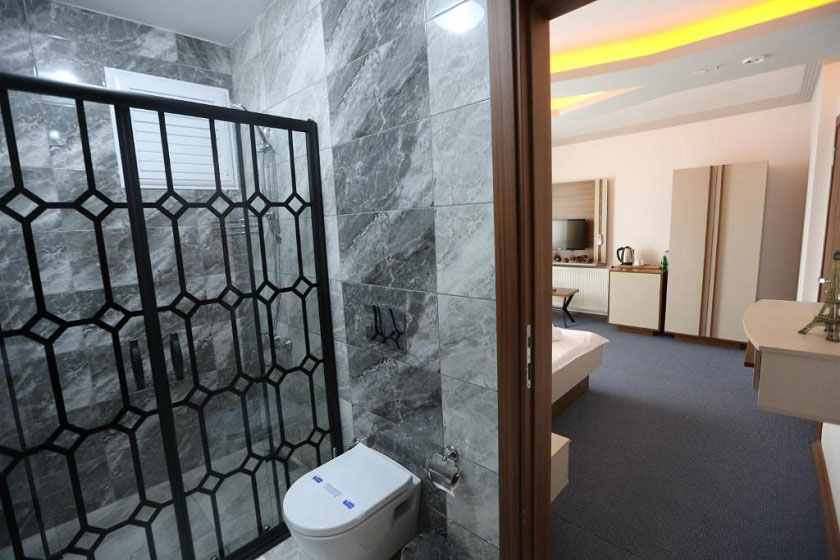 Tevetoglu Hotel Istanbul - Standard Double Room