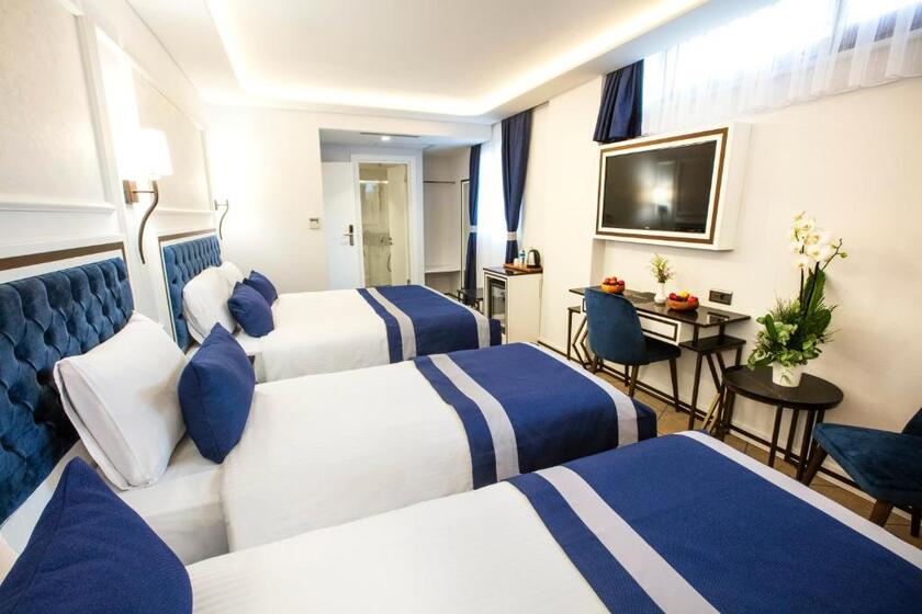 Endican Beyazit Hotel istanbul - room
