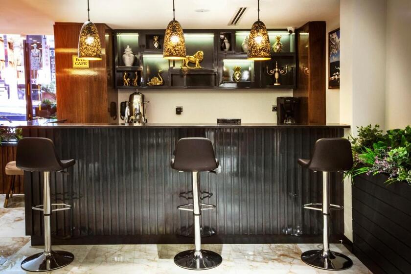 Endican Beyazit Hotel istanbul - bar