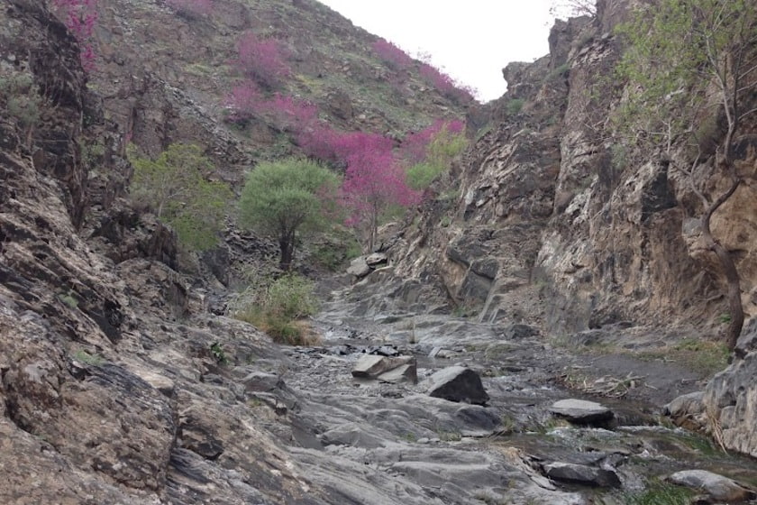 دره ارغوان کلاته آهن. منبع عکس: گوگل مپ. عکاس: محسن موسوی