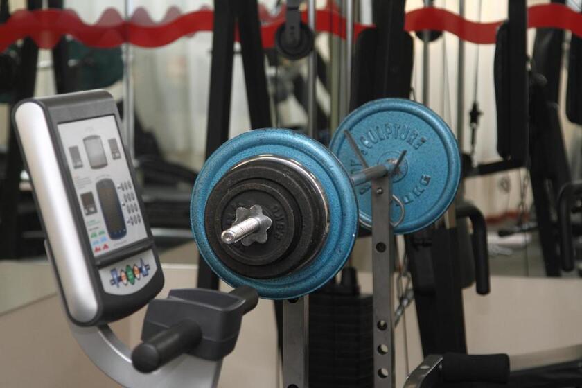 Lavender Hotel Sharjah - fitness center