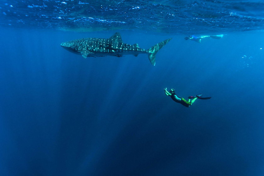 ساحل توفو. منبع عکس: وب‌سایت Getty Images. عکاس: Jason Edwards