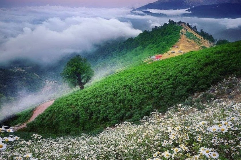 اردیبهشت کجا بریم